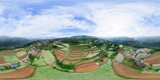广元市_ 剑阁县_秀钟乡_种植产业全景 村委会旁